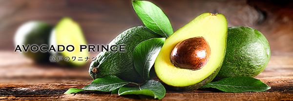 AVOCADO PRINCE | 国産アボカドの紹介